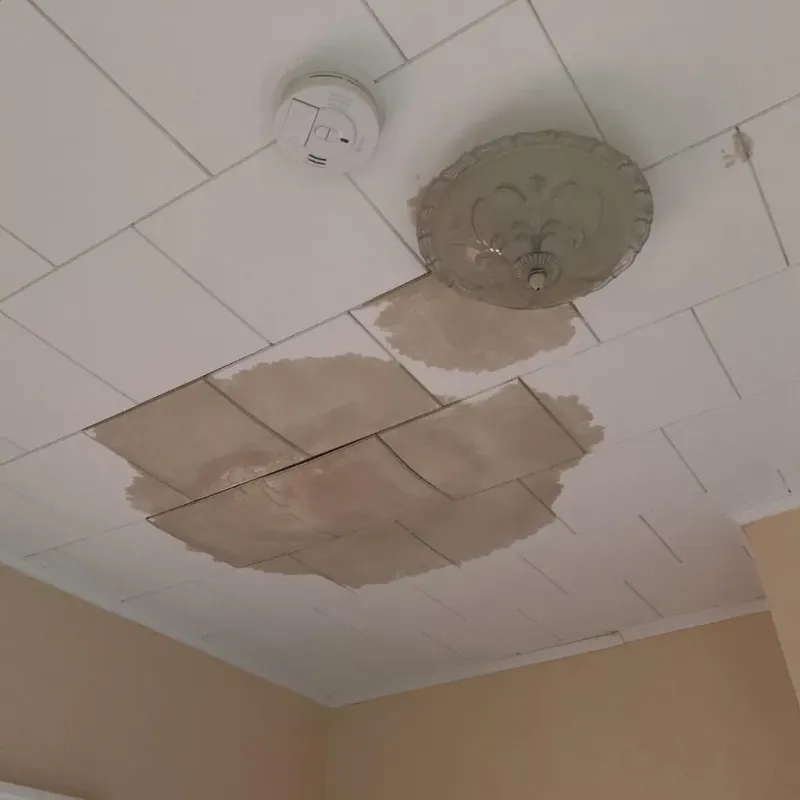 Ceiling Water Damage Repair in Nellieburg, MS