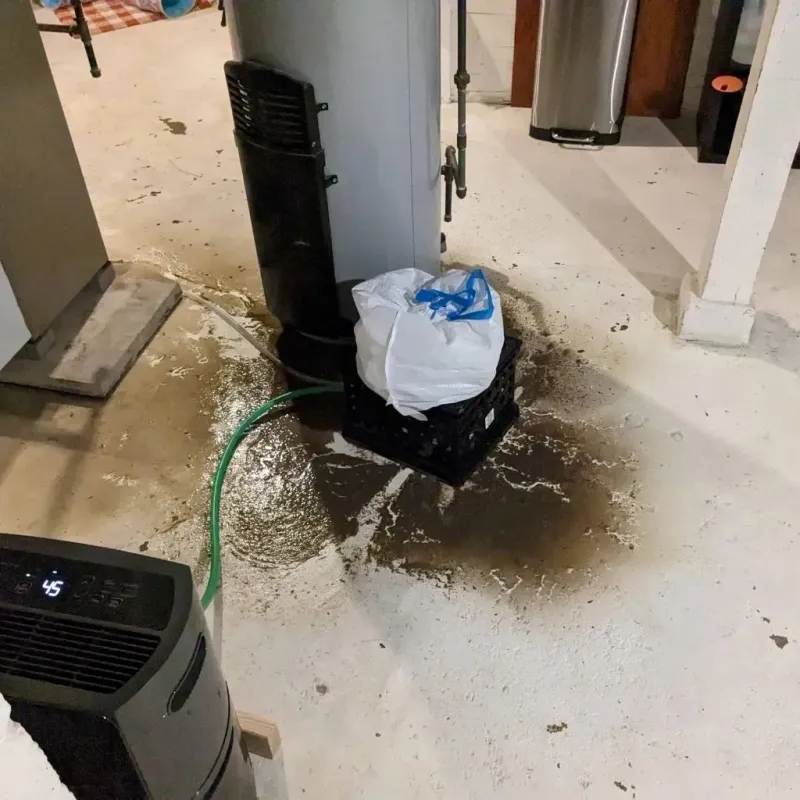 Sewage Backup Cleanup Service in Nellieburg, MS